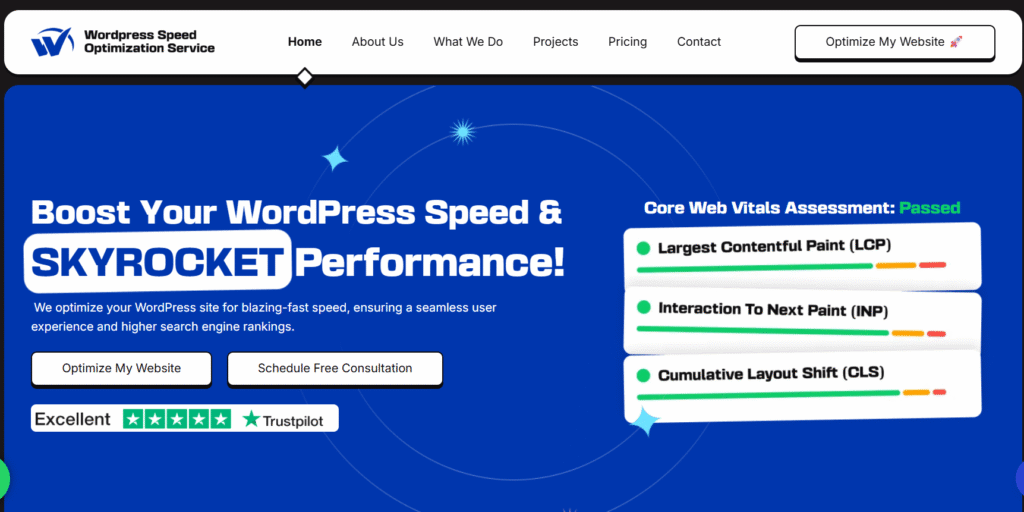 Landing Page For Wordpress Speed Optimization Service Website